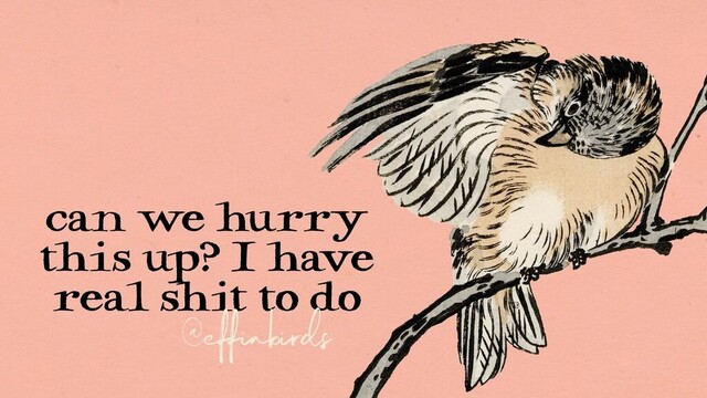 can we hurry this shit up? I have real shit to do