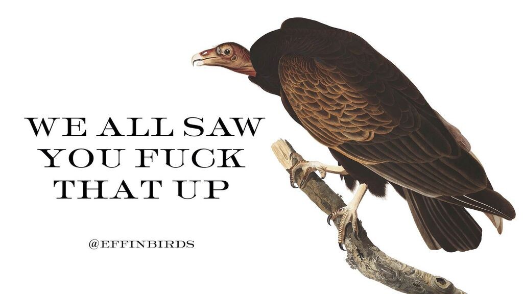 We all saw you fuck that up!