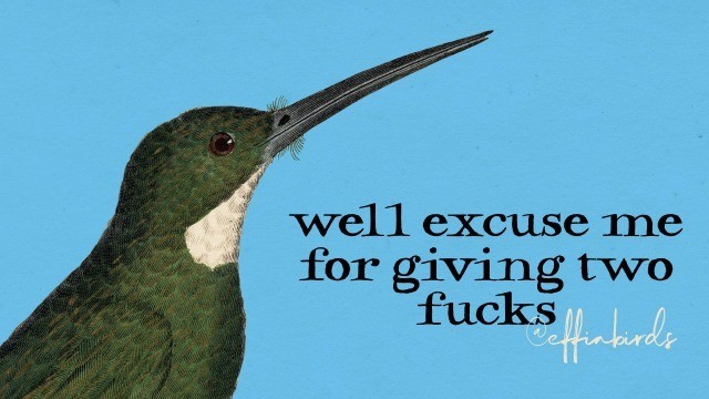 well excuse me for giving two fucks