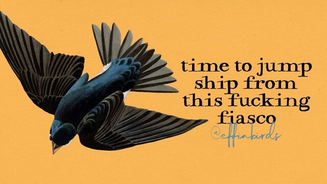 Time to jump ship from this fucking fiasco!